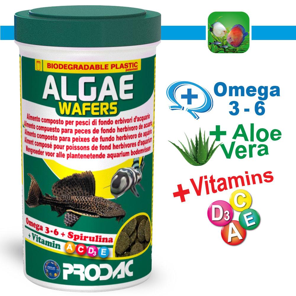 Algae Wafers | Thức ăn cho cá tầng đáy dạng viên Prodac 45g